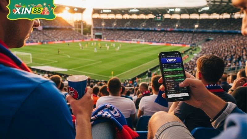 Soi kèo Euro 2025 – Phân Tích Tỷ Lệ, Xu Hướng Kèo Bắt Chuẩn